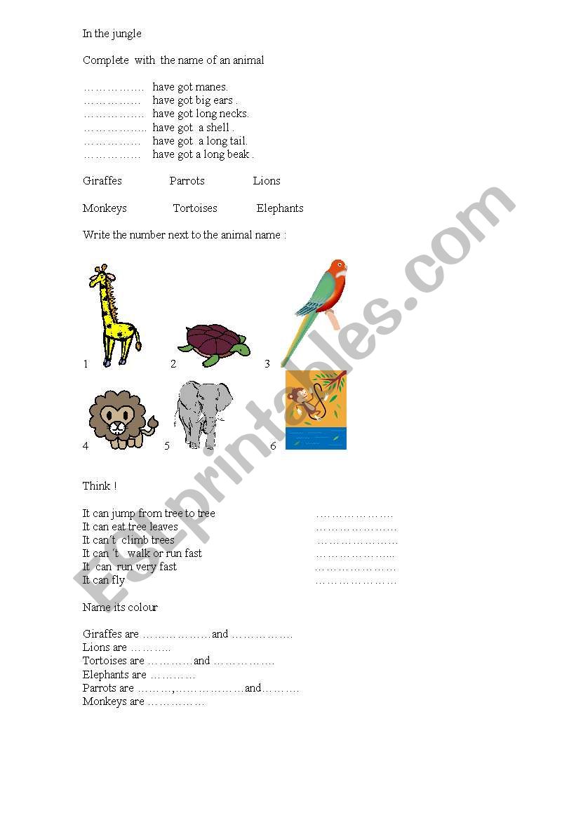 in the jungle worksheet