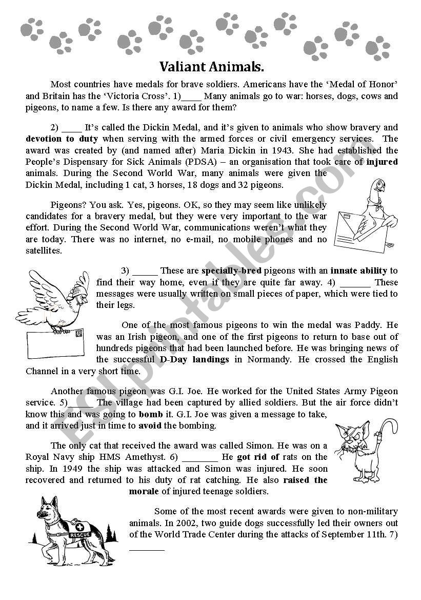 Animals at War worksheet