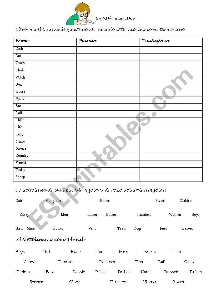 Plurals Exercises worksheet