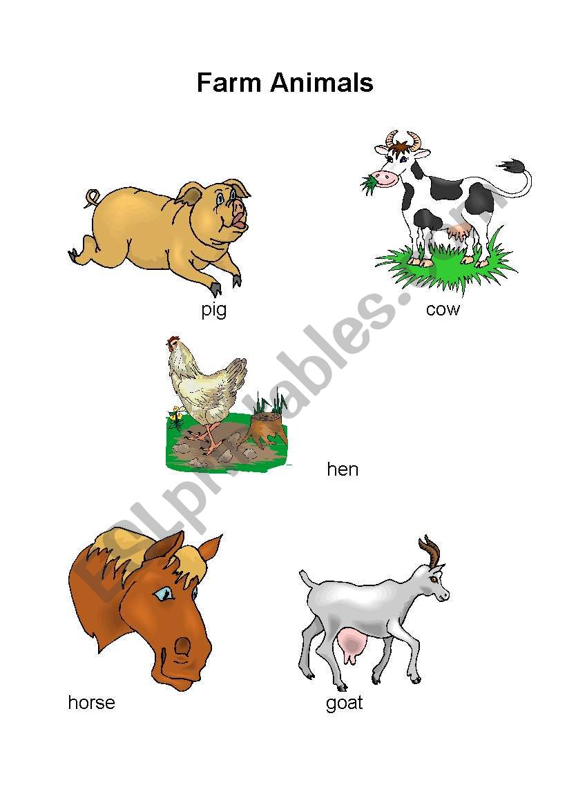 farm animals worksheet