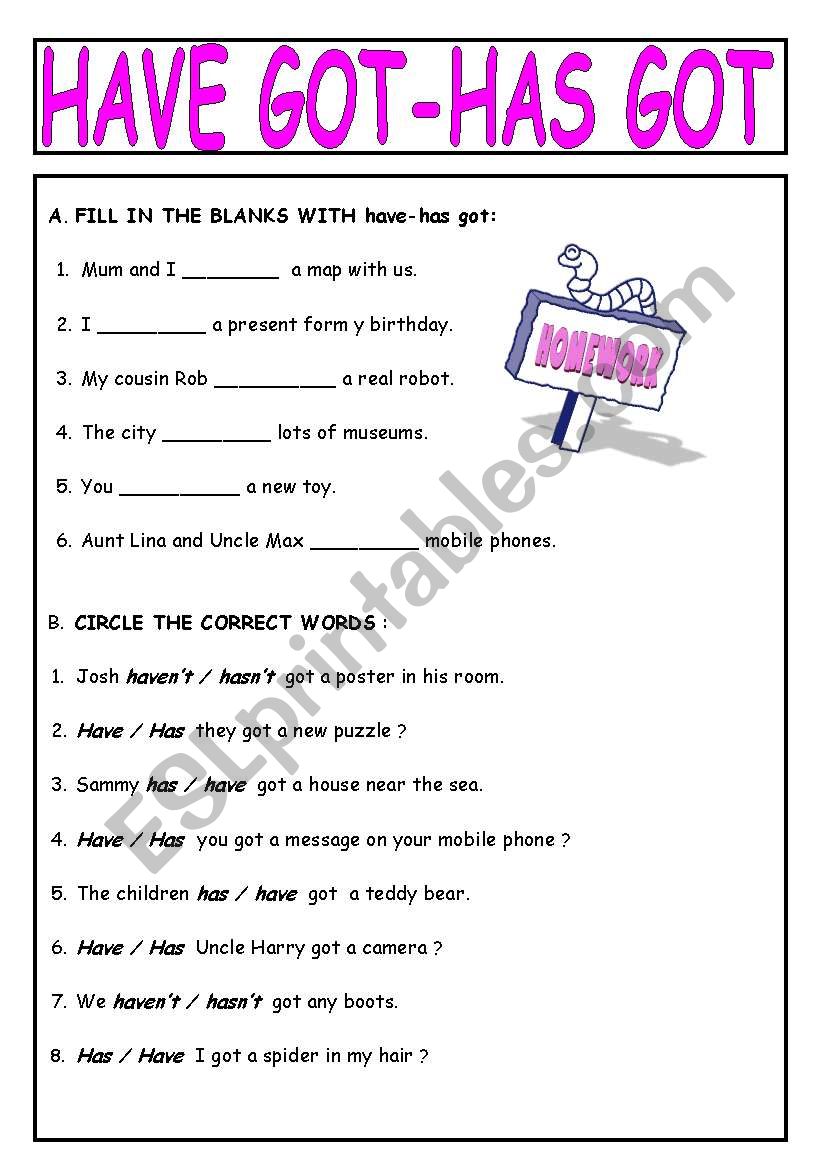 HAVE GOT - HAS GOT worksheet