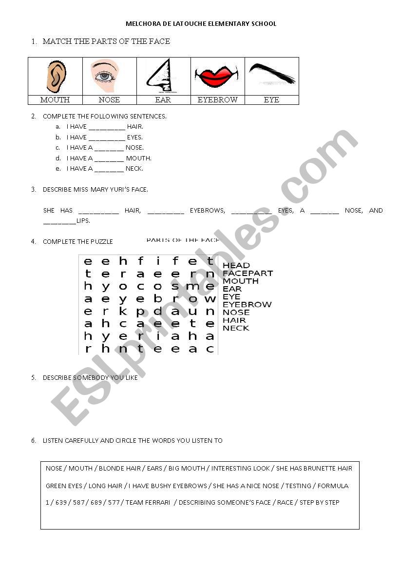 Part of the Face worksheet