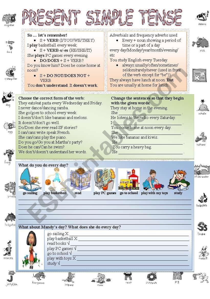 present simple tense worksheet