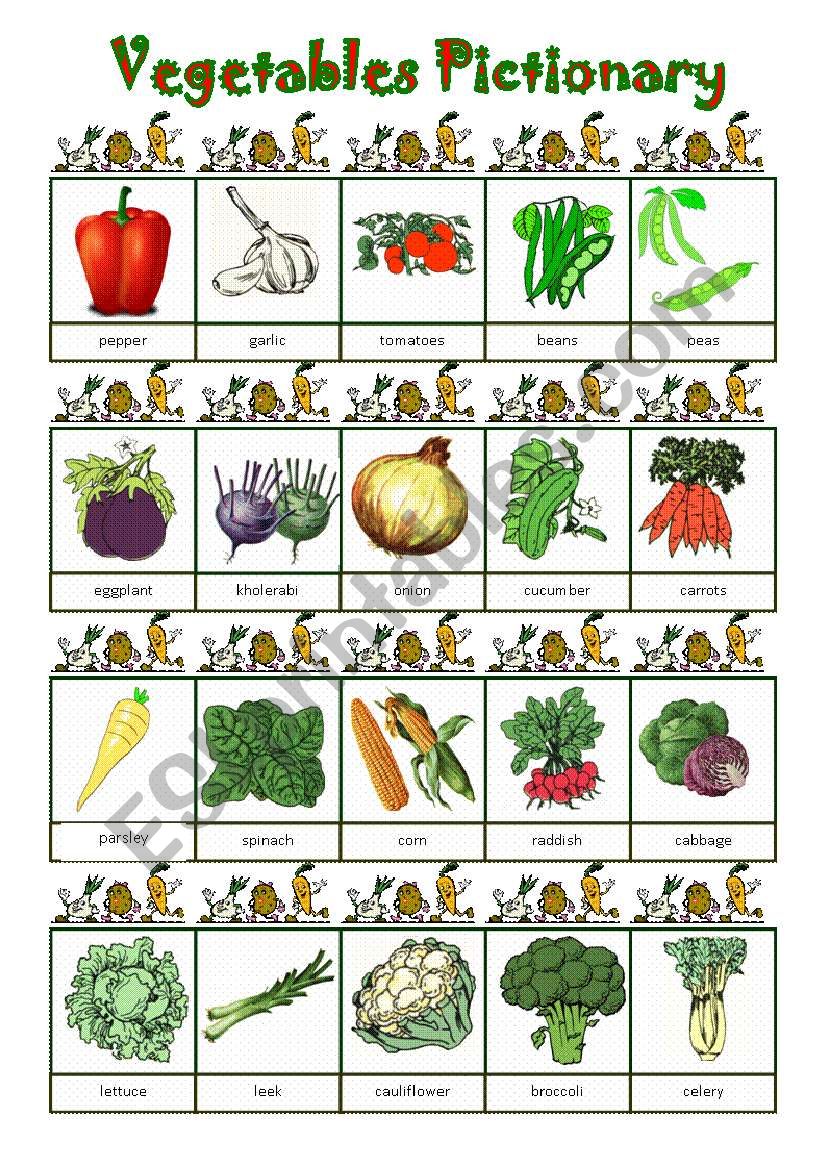 Vegetables Pictionary worksheet