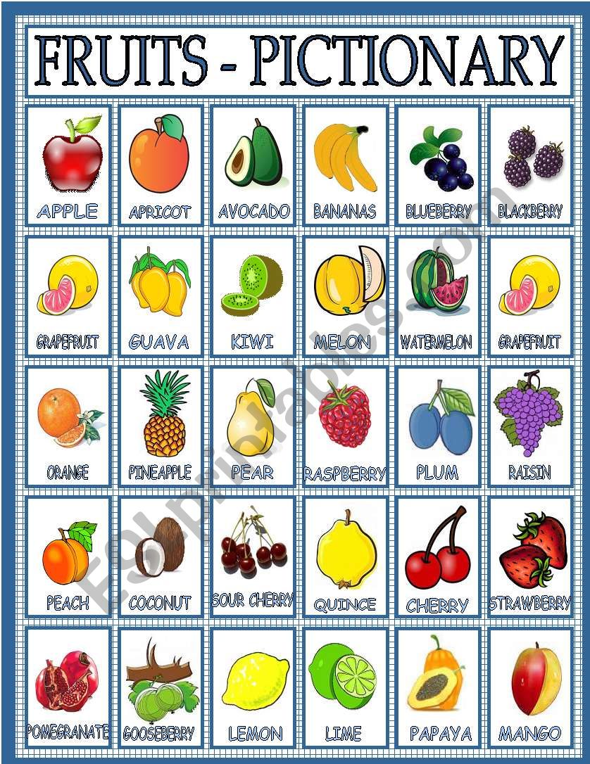 fruits worksheet