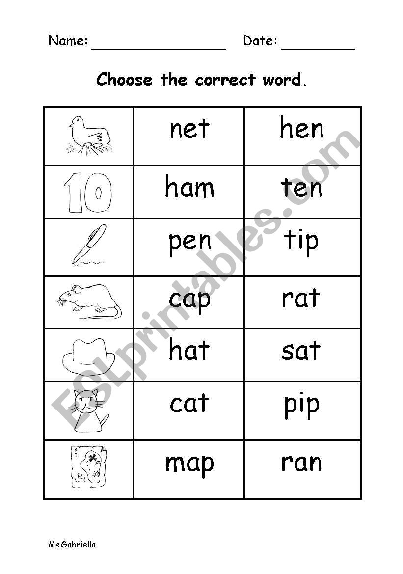 Choose the correct word. worksheet