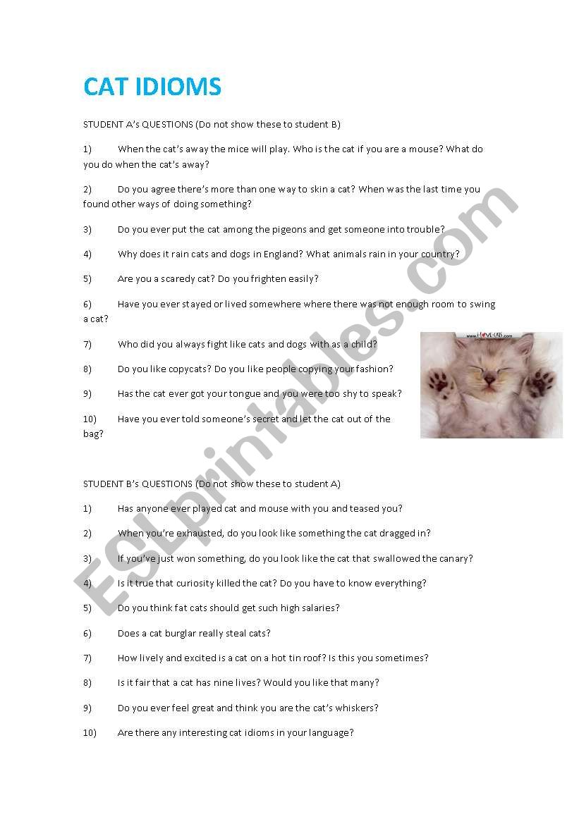 CAT IDIOMS Conversational Activity