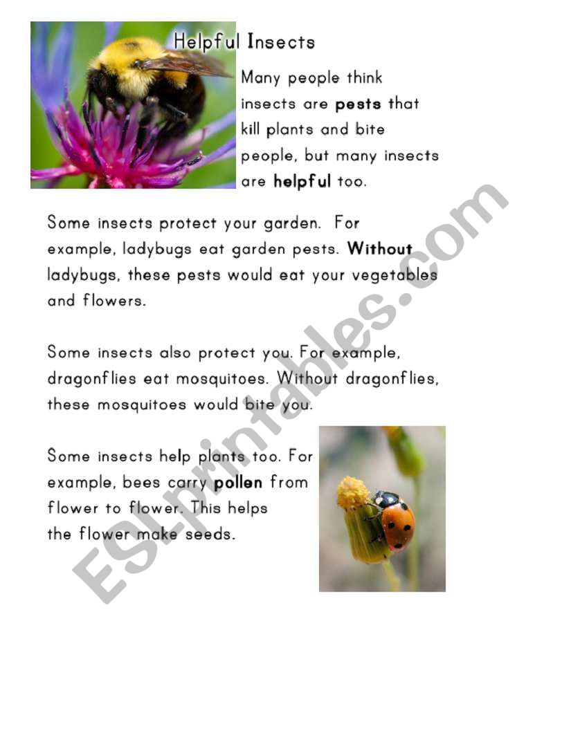 Helpfull Insects worksheet