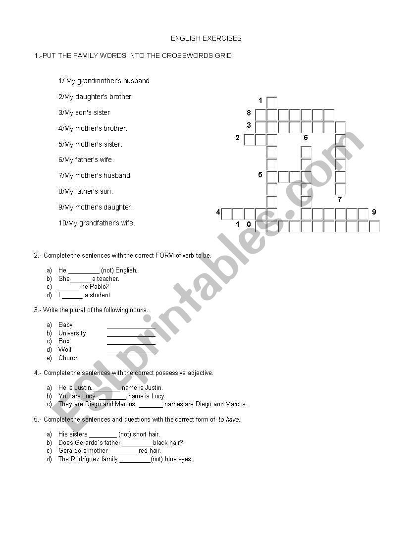 english exercises worksheet