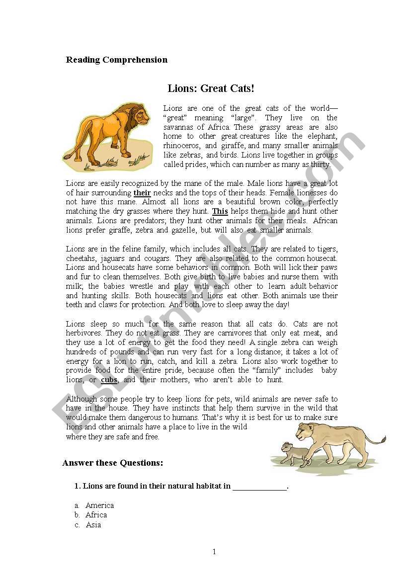 Cats and Lions worksheet