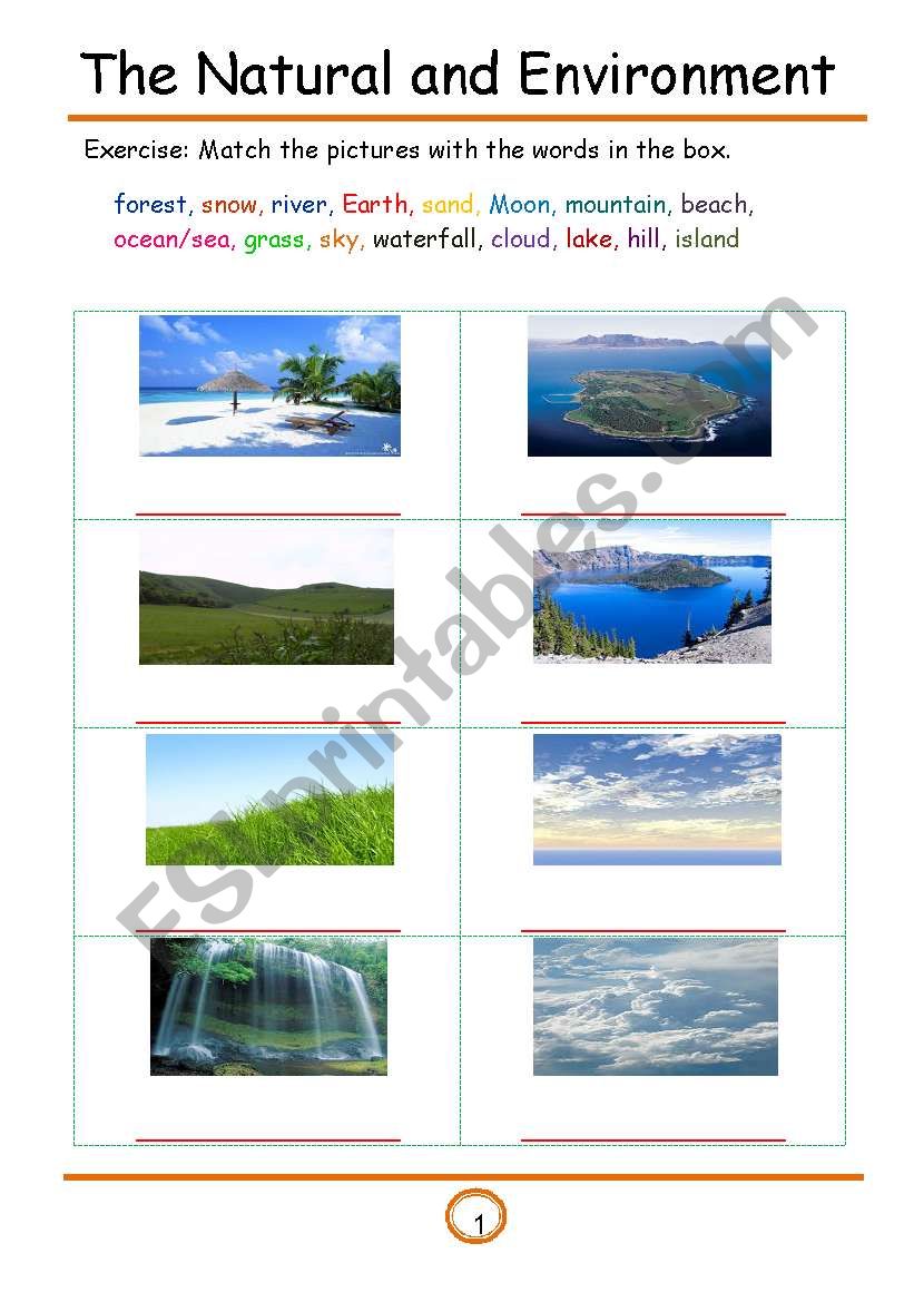 The natural and environment  worksheet