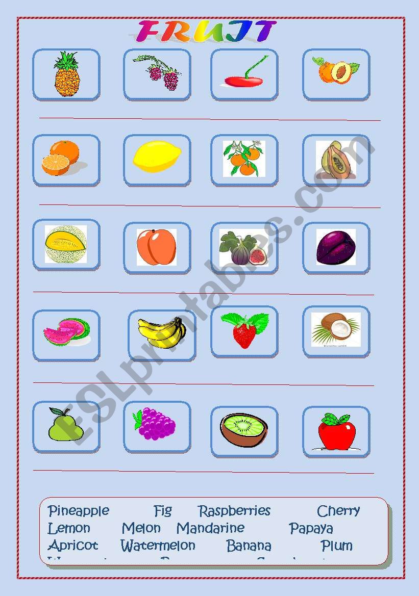 Fruit Matching worksheet