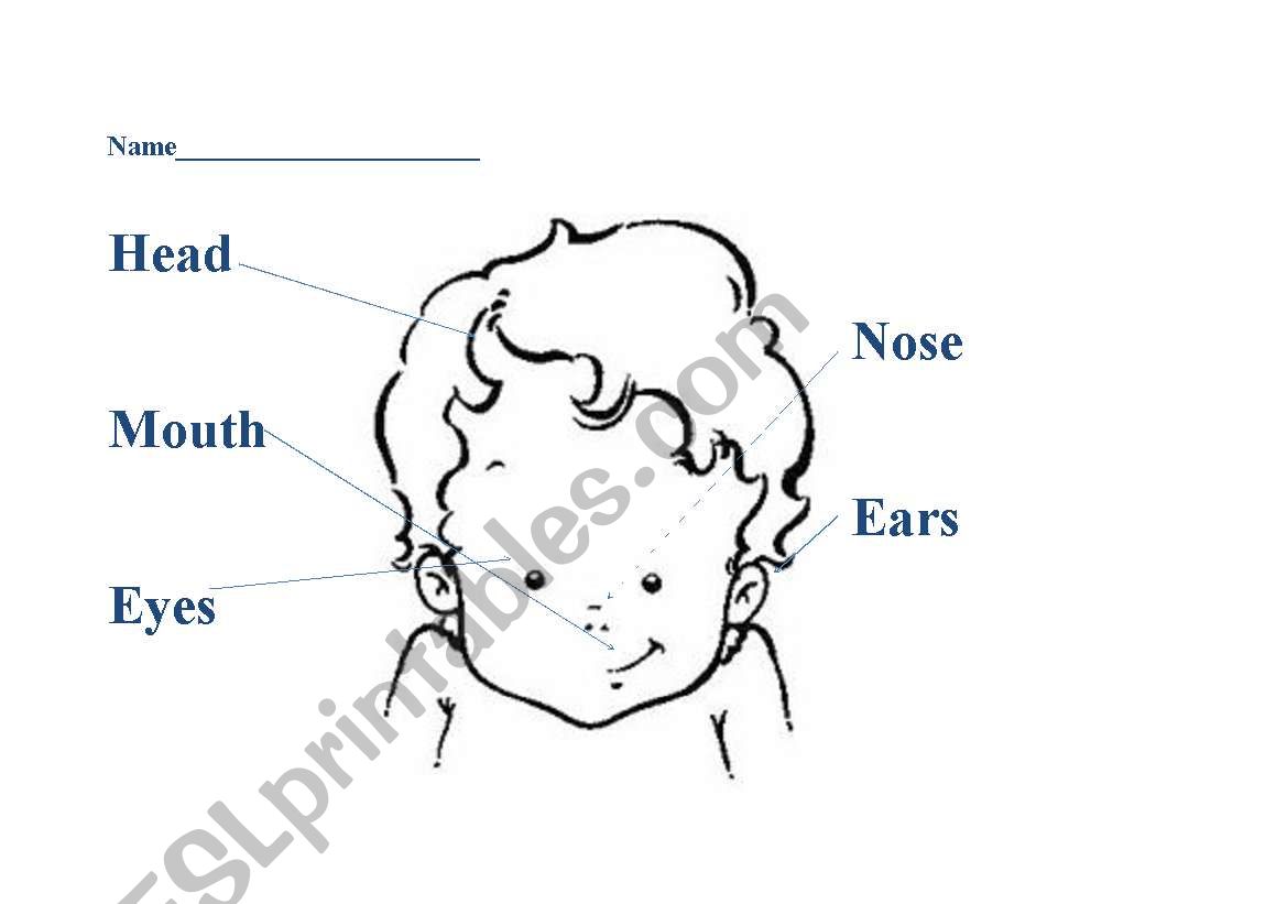 The parts of the face worksheet