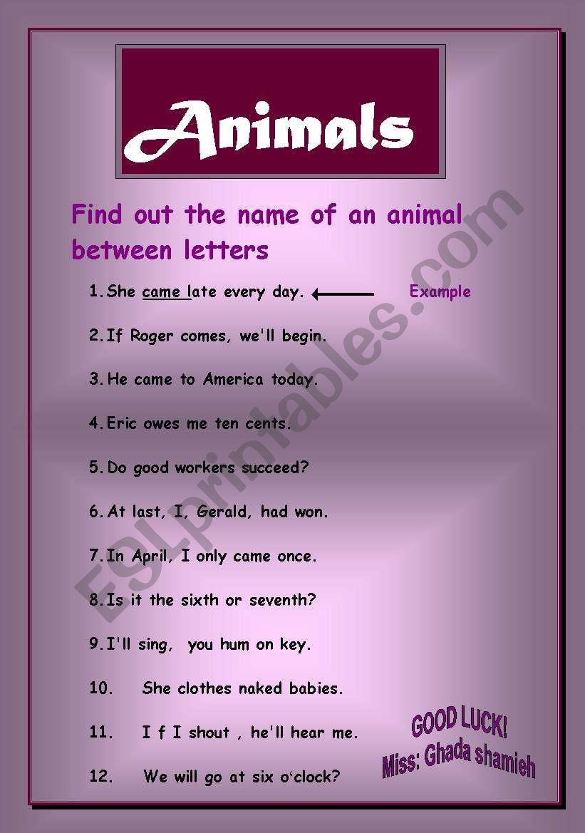 animals  worksheet