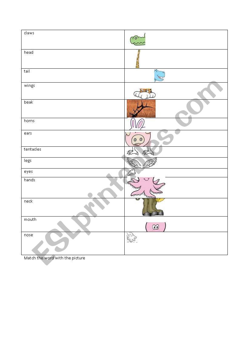 animal body parts worksheet