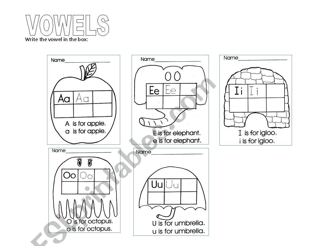 The vowels worksheet