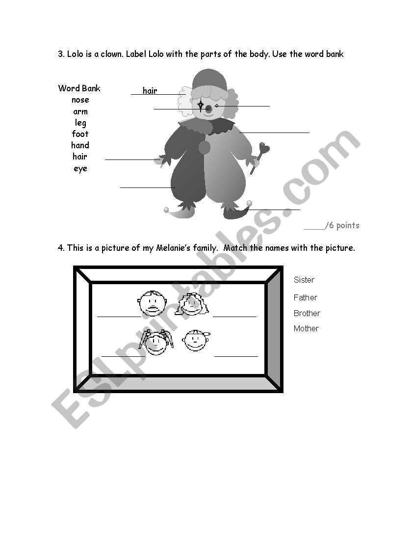 parts of the body worksheet