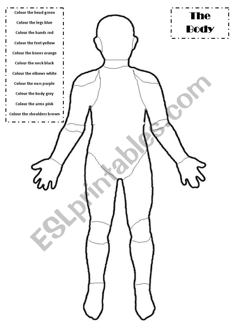 colour the body worksheet