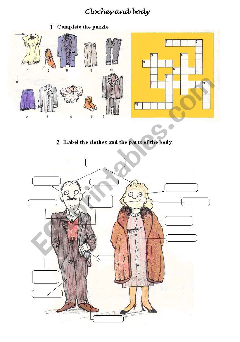 body and clothes worksheet