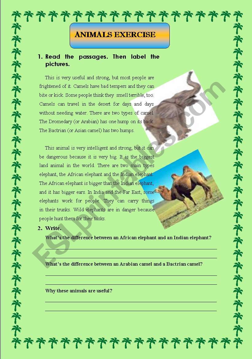 animal reading with questions worksheet