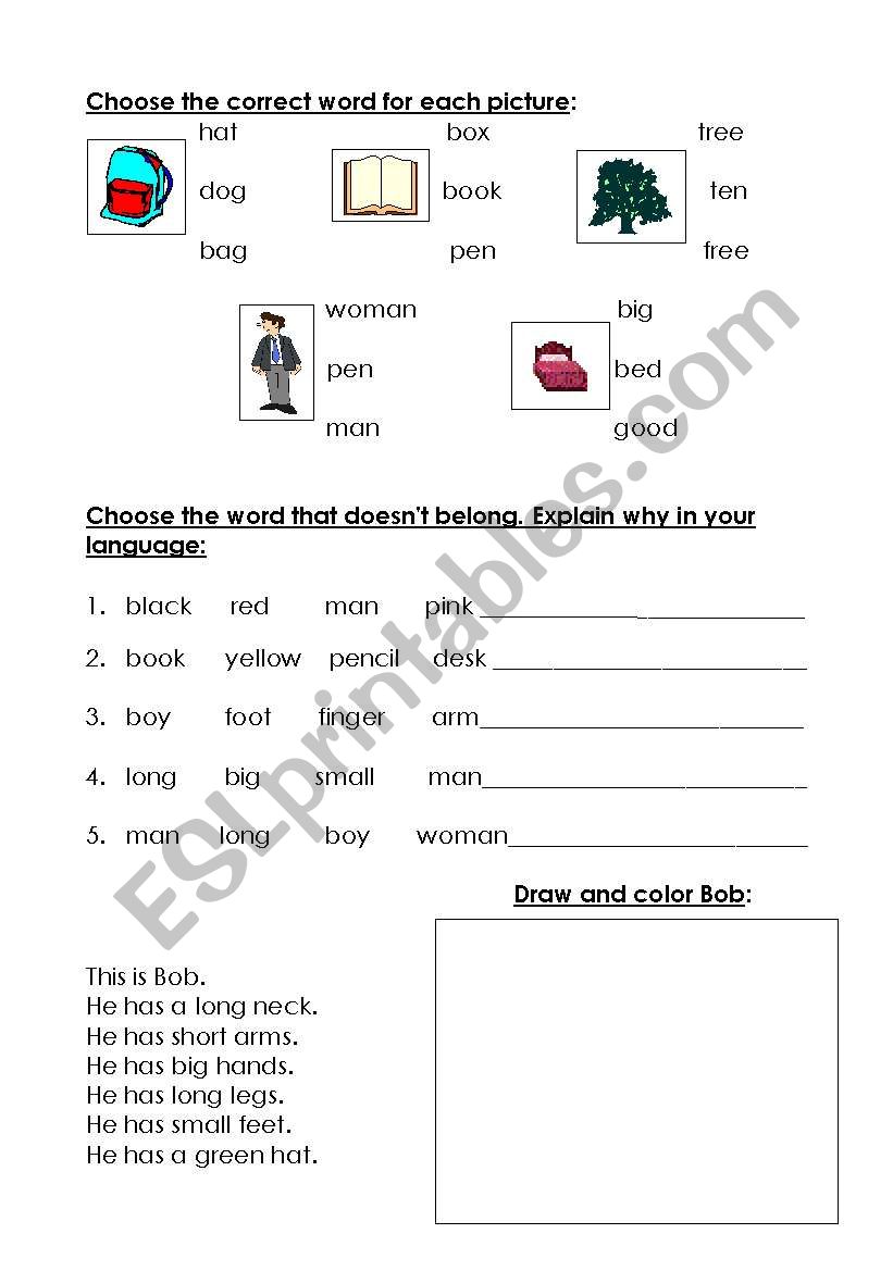 Vocabulary Activity worksheet