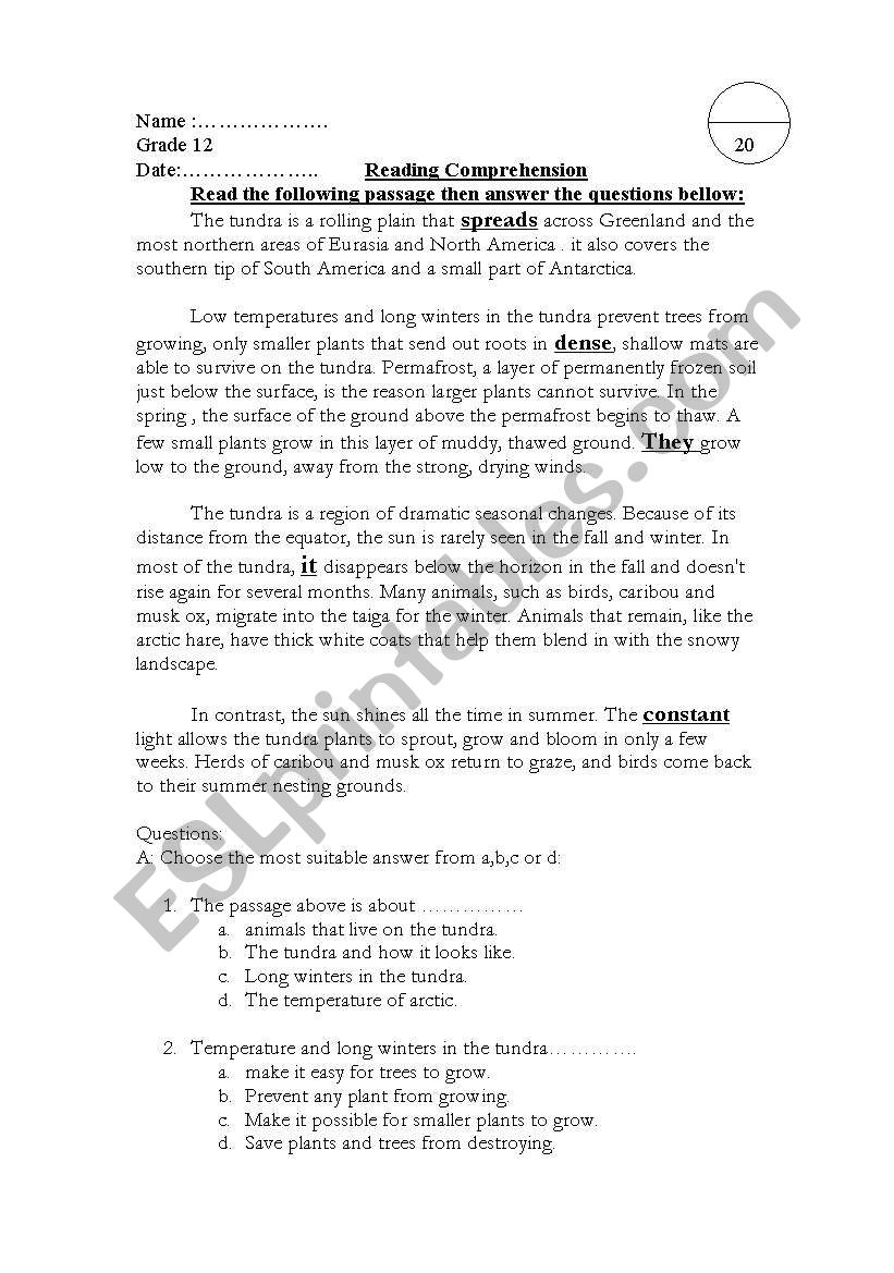 reading comprehension worksheet