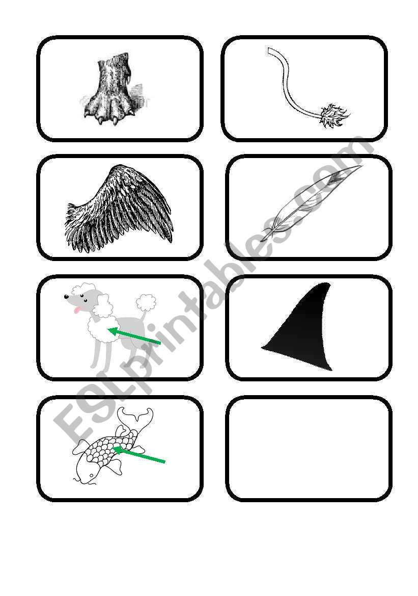 animals vocabulary worksheet