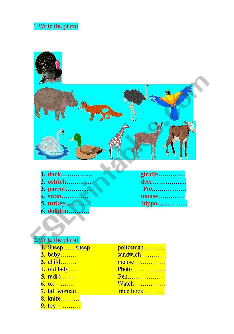 Plurals/ Countable, uncountable nouns