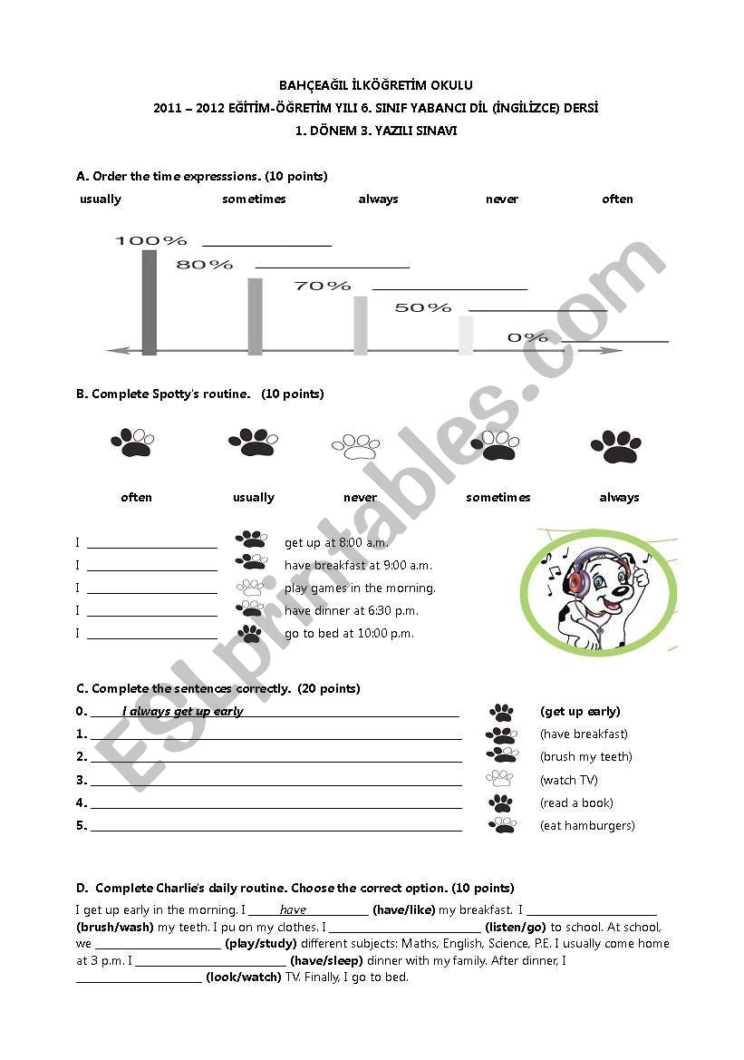 6.snf yazl worksheet