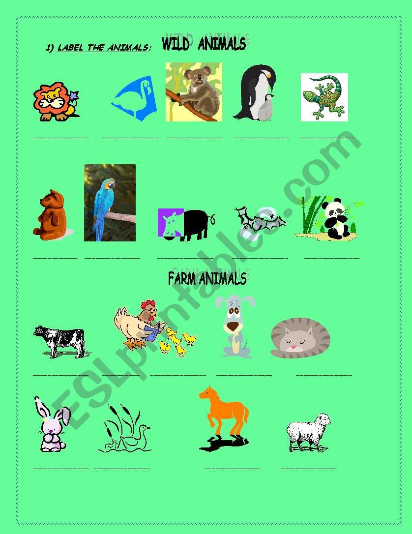 Animals worksheet