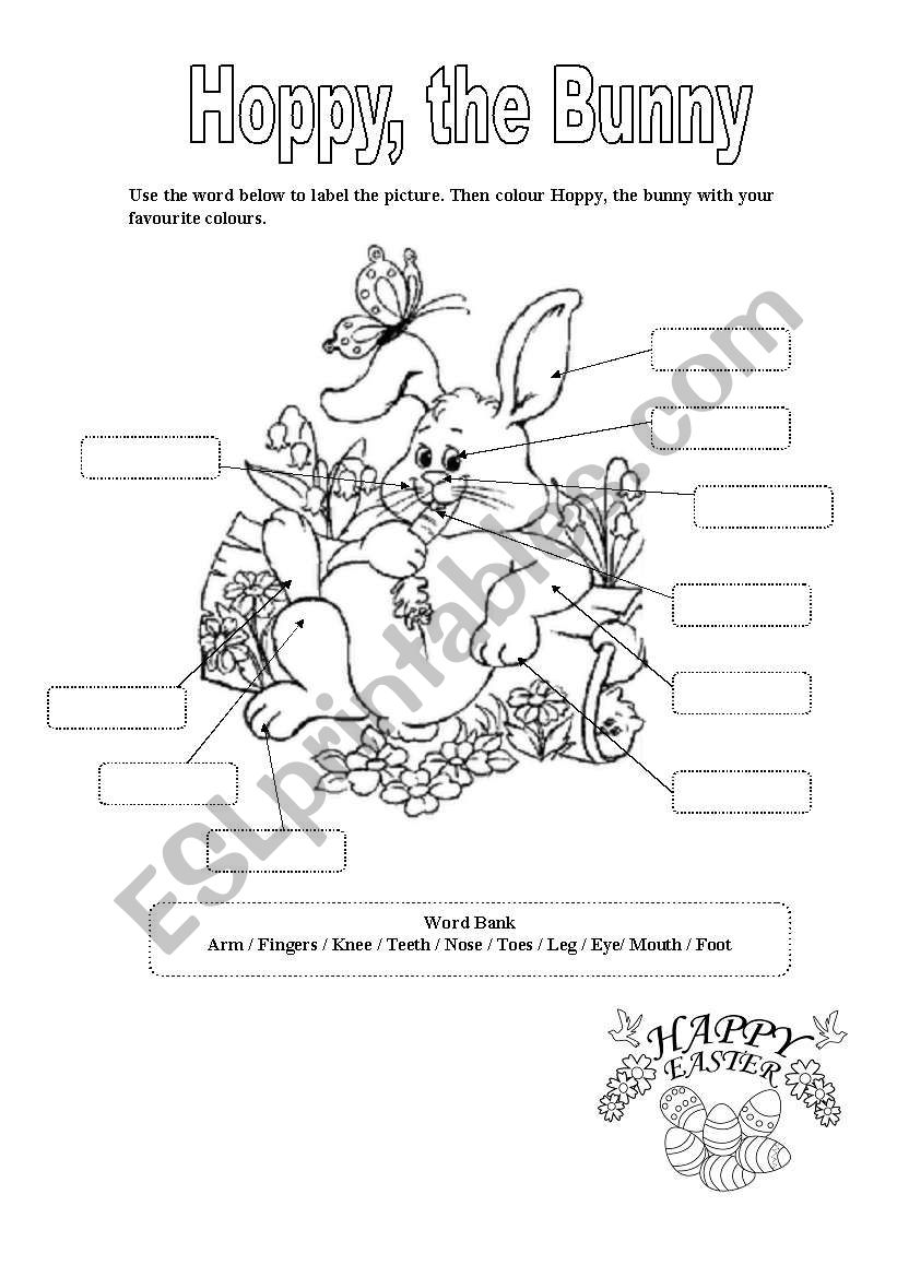 Body Parts   worksheet