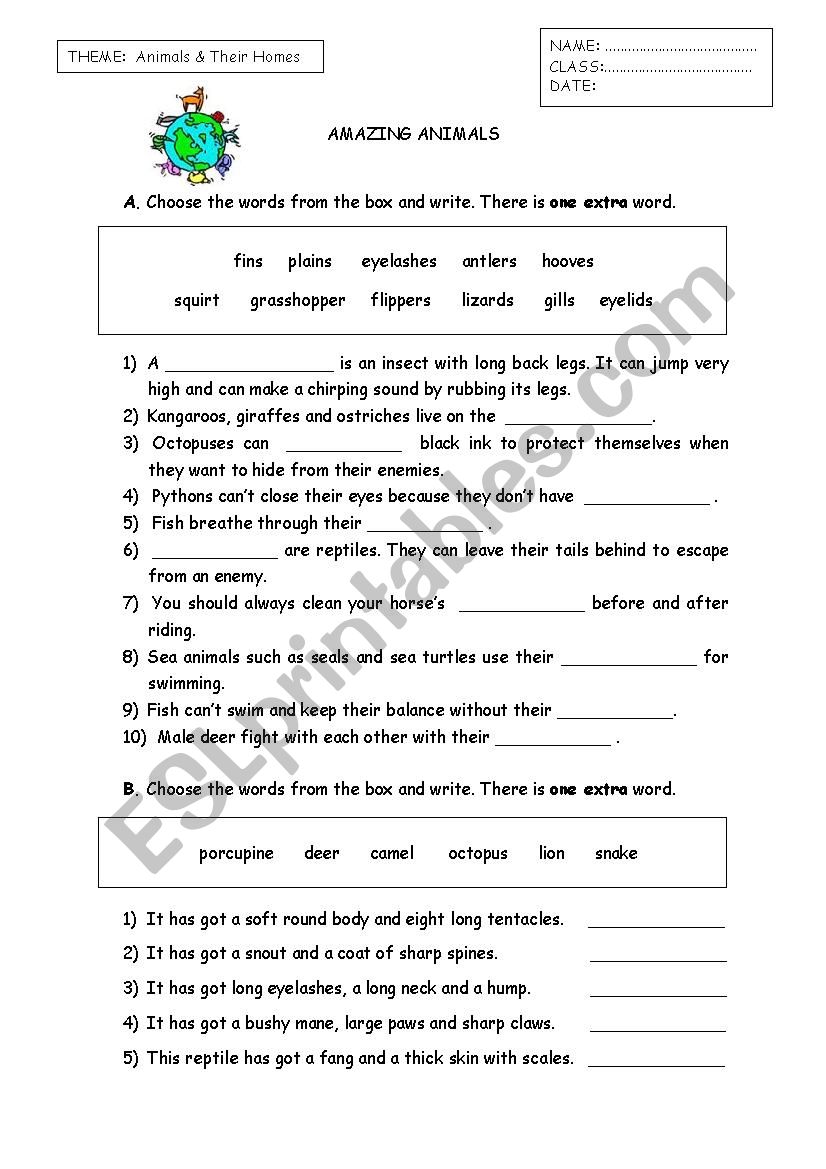 Animal Facts worksheet