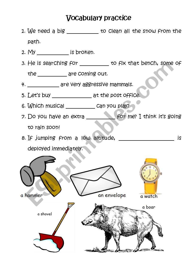 Vocabulary practice 1 worksheet