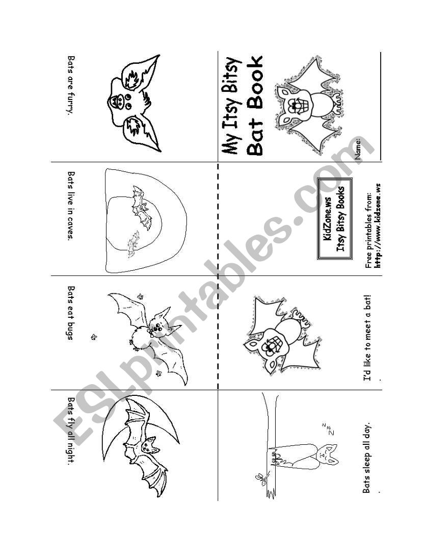 Bat Book  worksheet