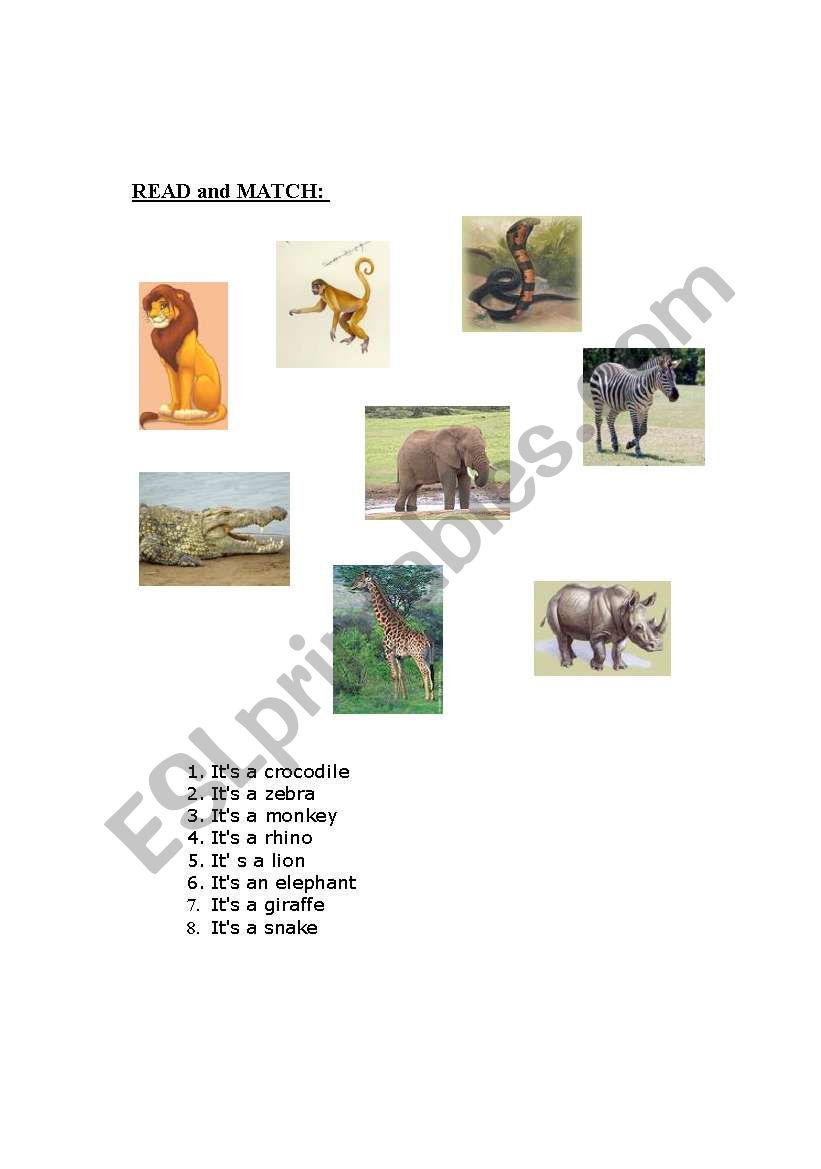 animals worksheet