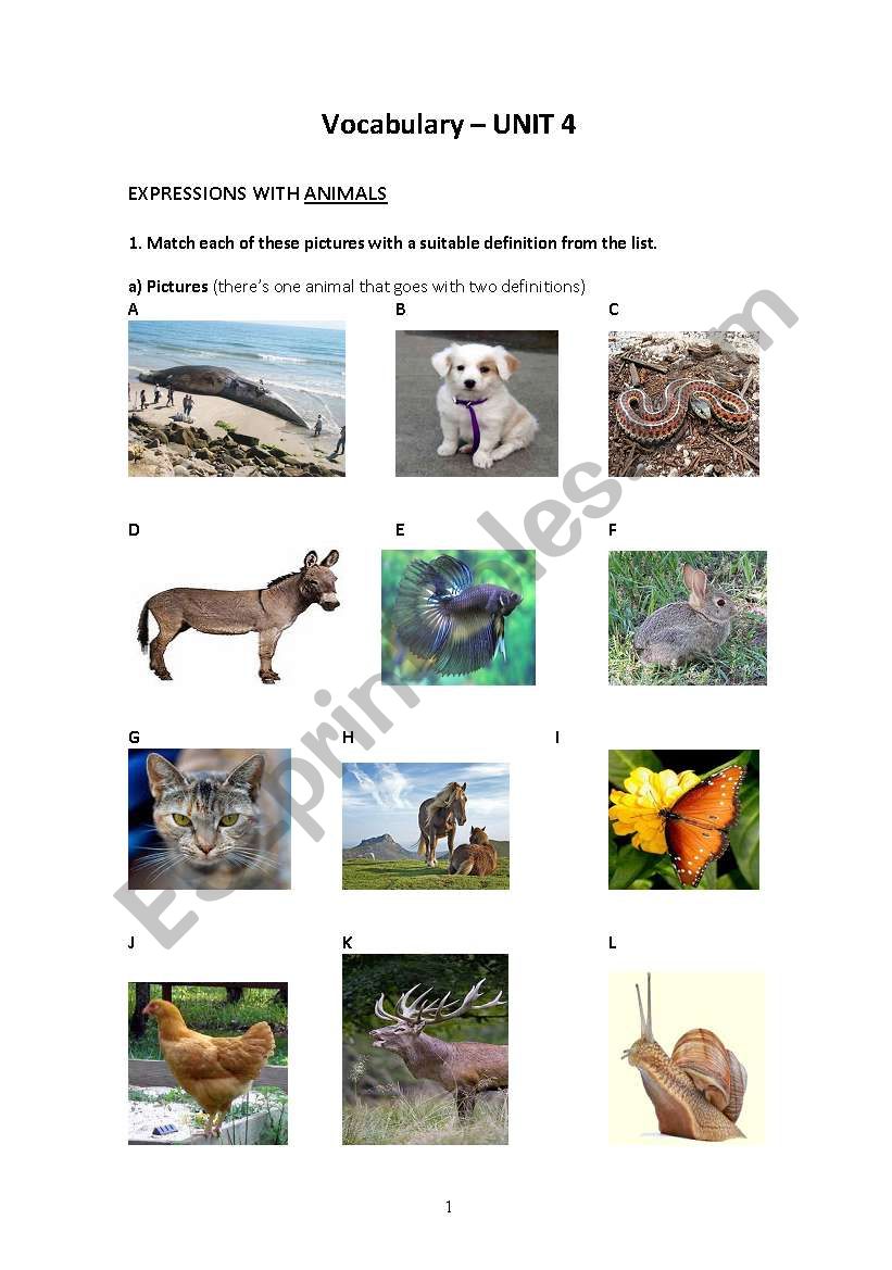 Expressions with animals worksheet