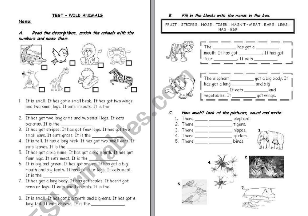 test- wild animals worksheet