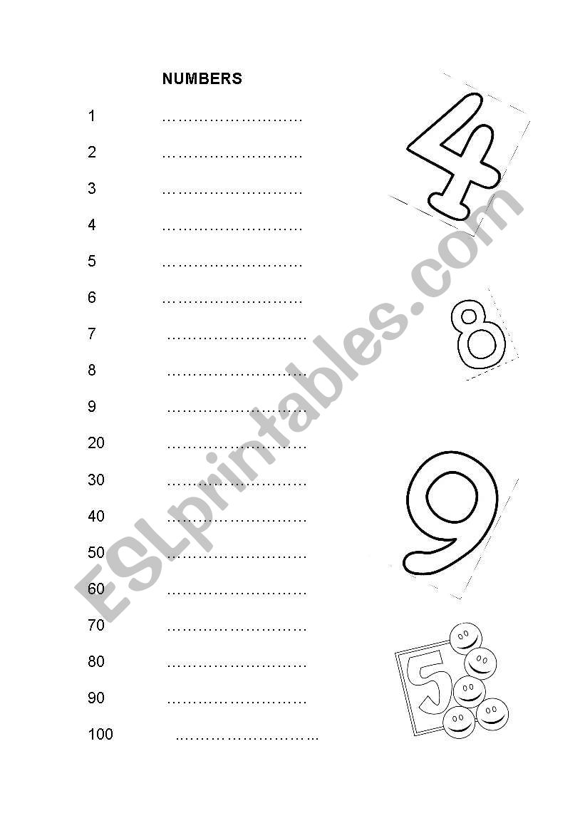 numbers worksheet