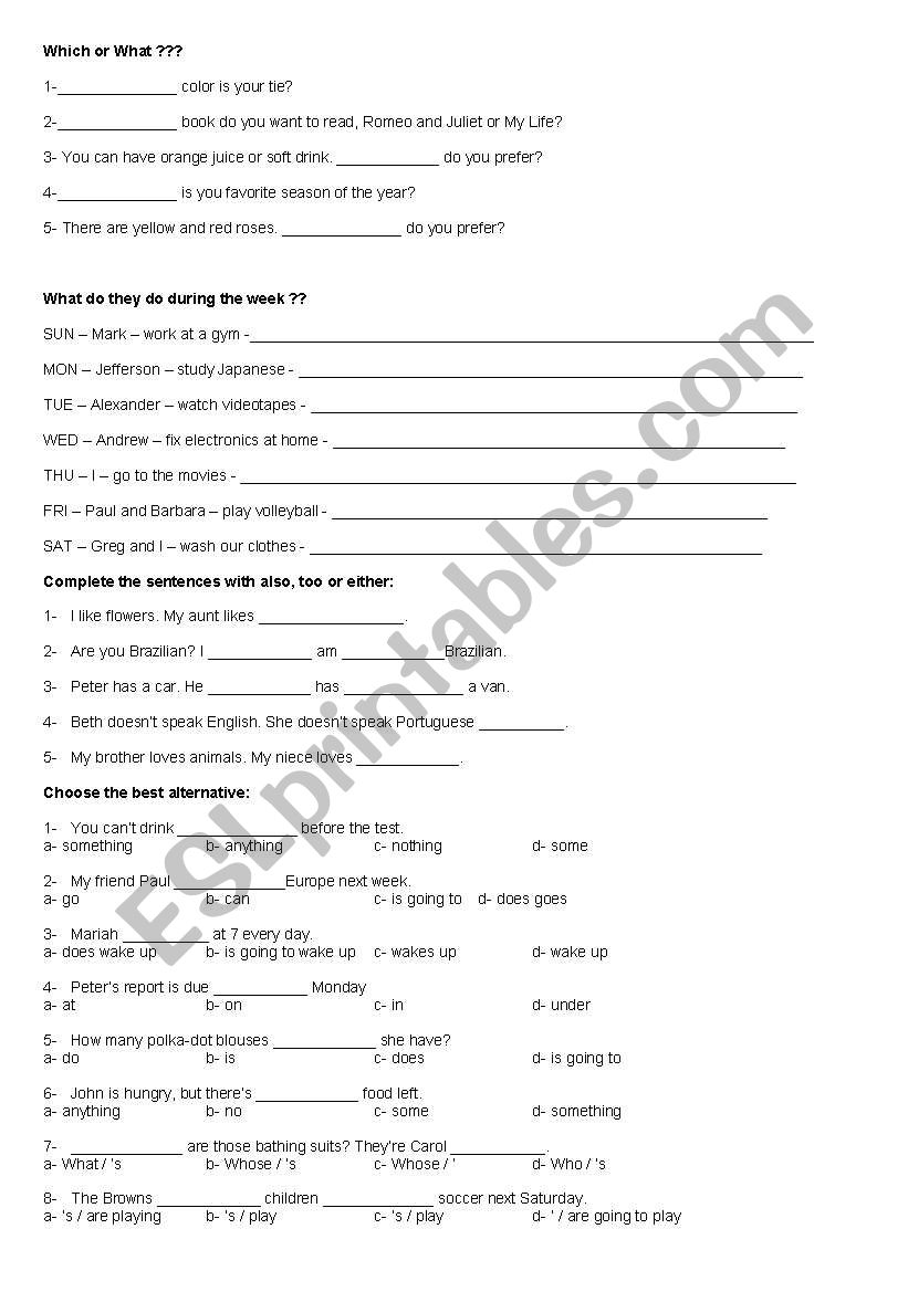 (GS2) Which or What - too, also or either - do, does - action verbs - nothing, something, some