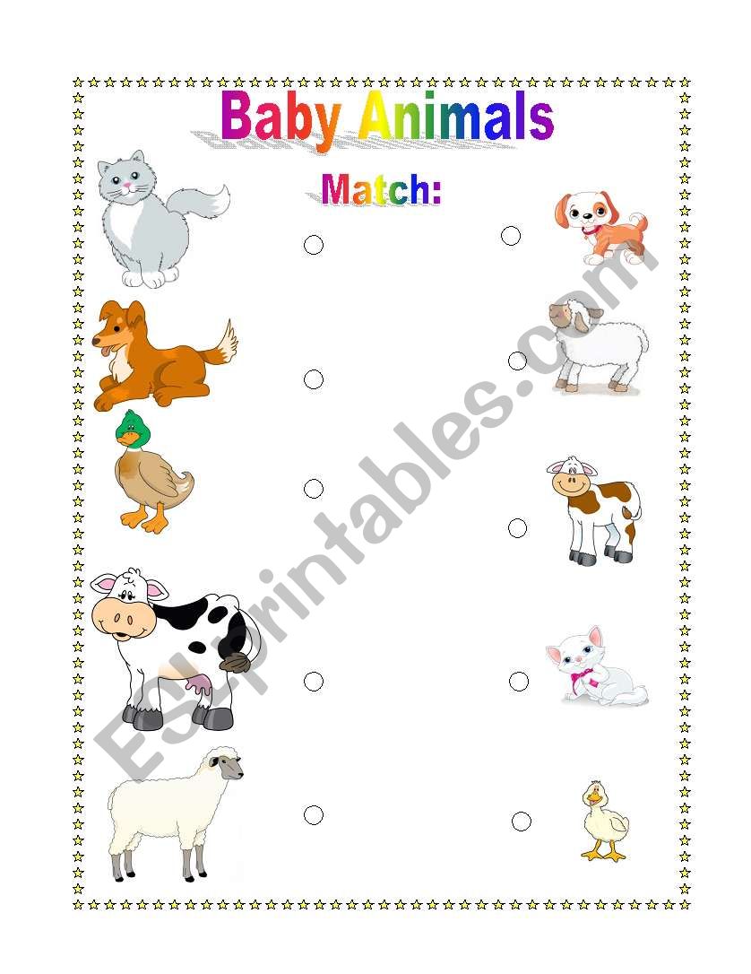 Baby Animals worksheet