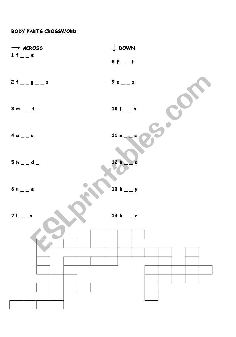 Parts of the body worksheet