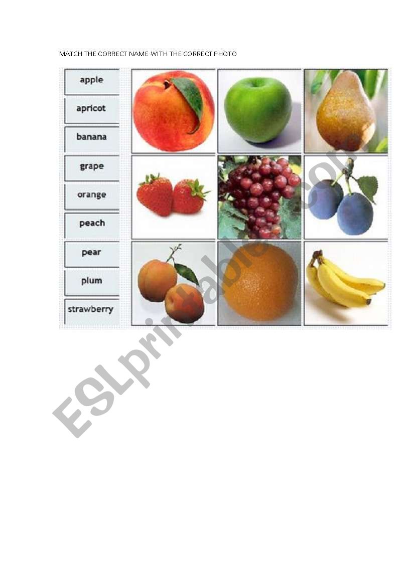 THE FRUITS worksheet