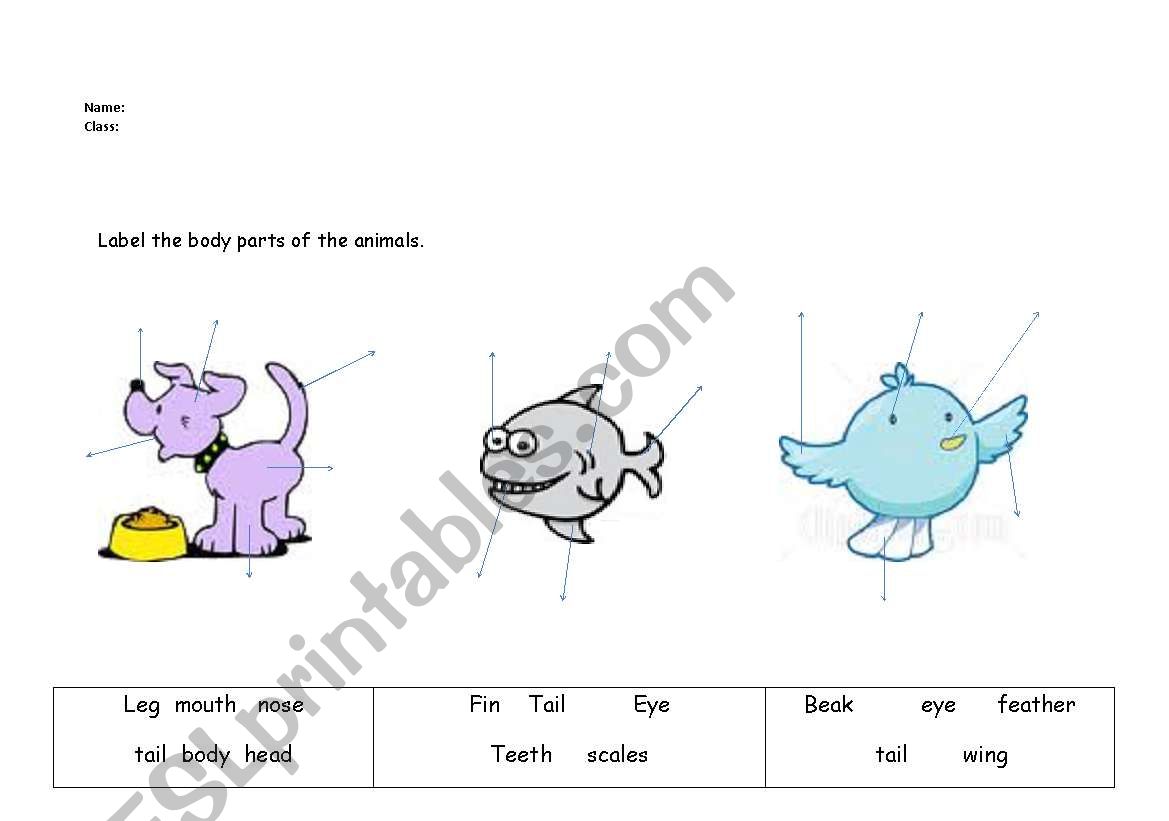 animal aktivities worksheet