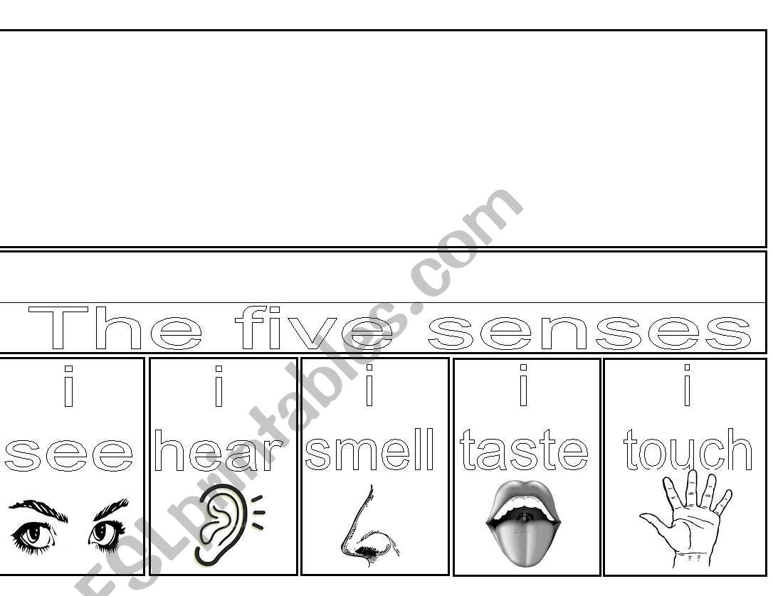 flip flap five senses worksheet