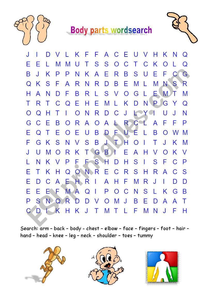 body and head wordsearch worksheet