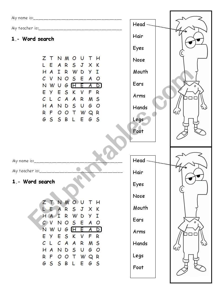 parts of the body worksheet