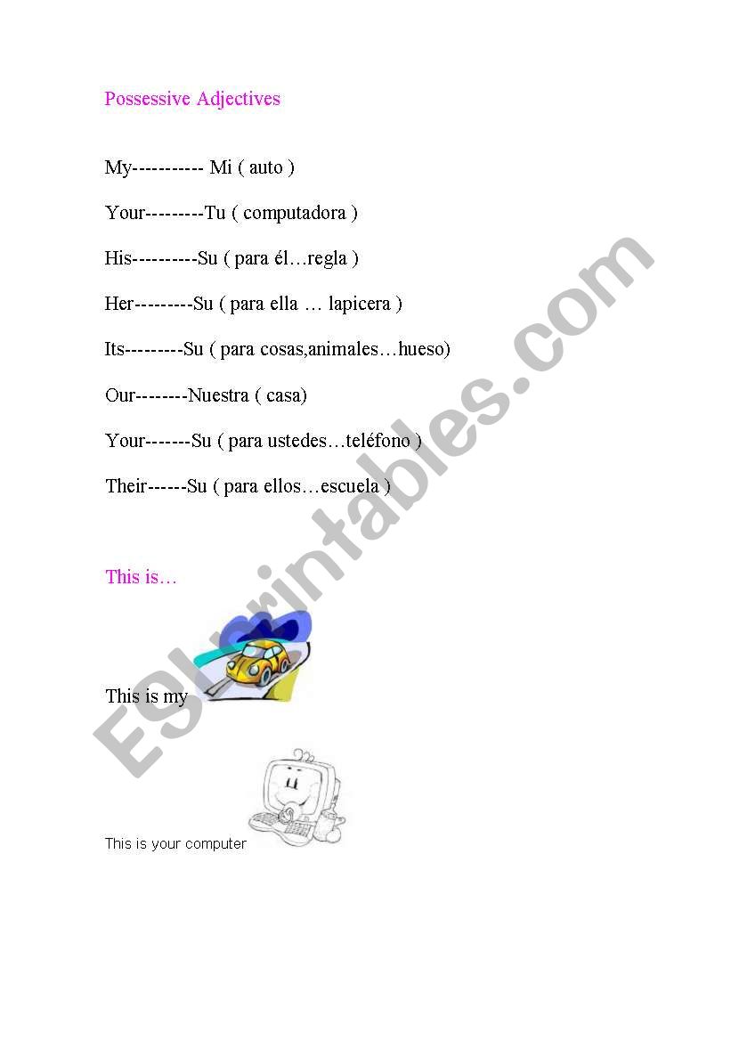 Possessive Adjectives worksheet