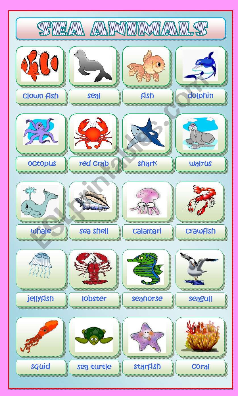 Sea Animals worksheet