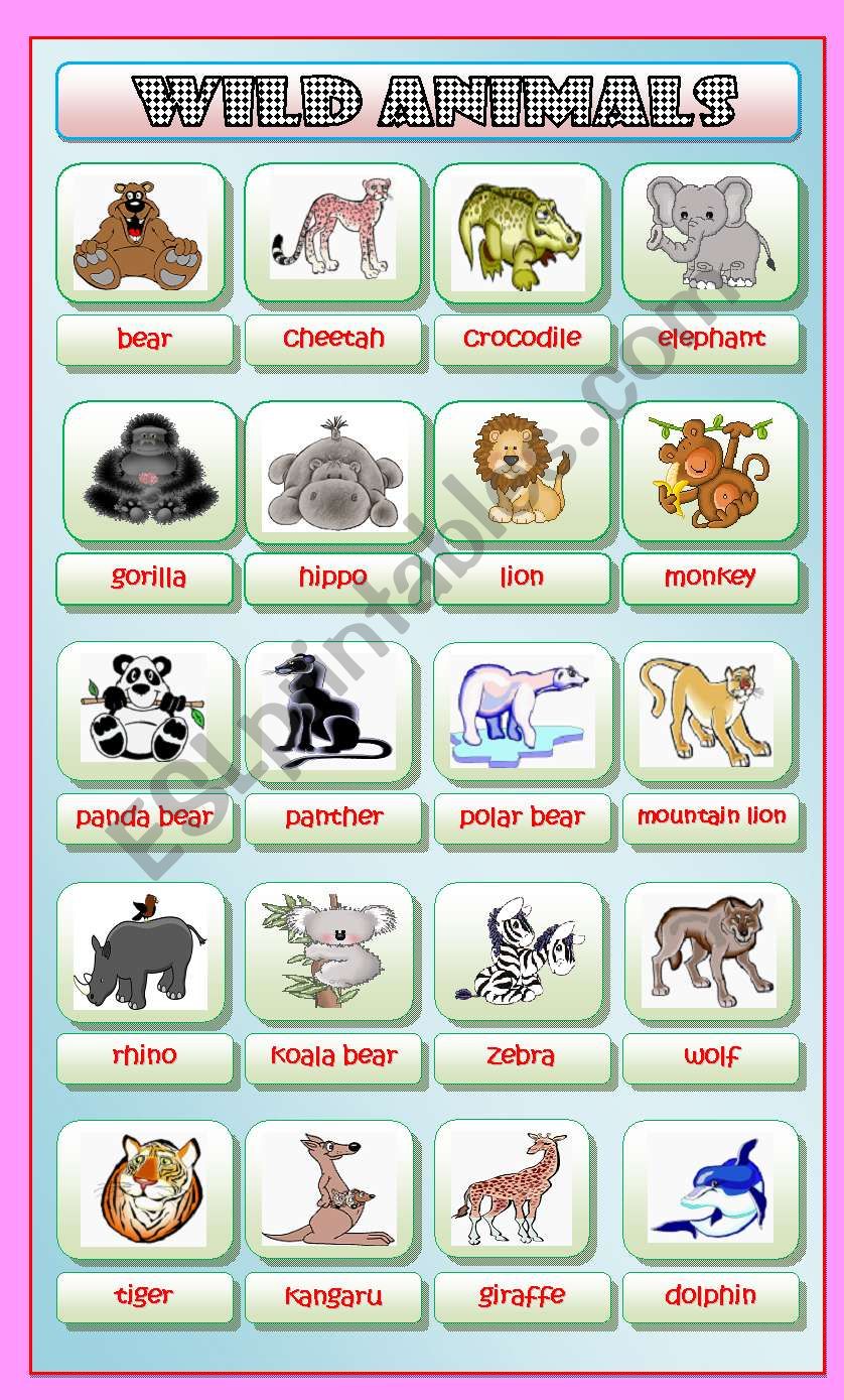 Wild Animals worksheet