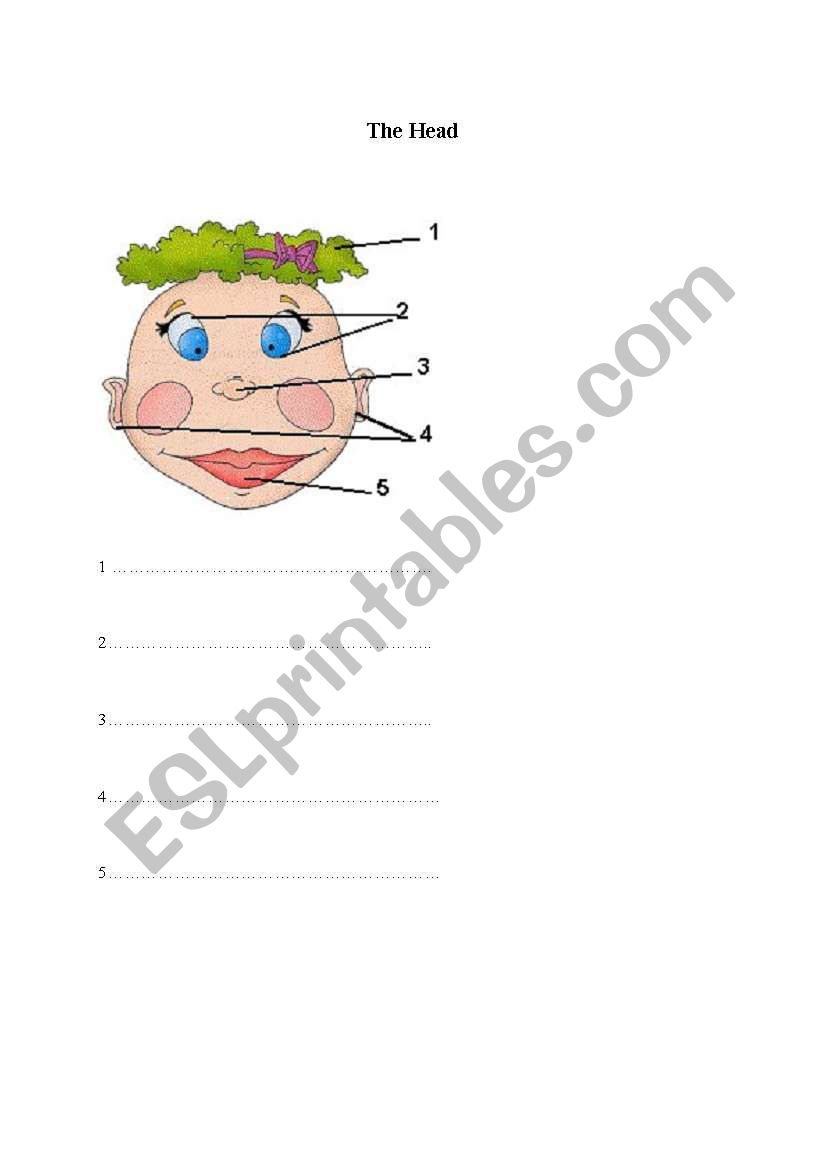 The Head worksheet